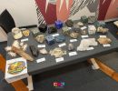 09 upoznaj zemlju   zaviri u mikroskop